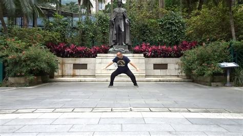 Sha Style Baguazhang Dragon Form 沙式八卦龍形掌 YouTube