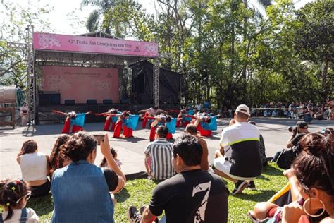 Blossom Cherry Dancers Festival Royalty Free Images Stock Photos