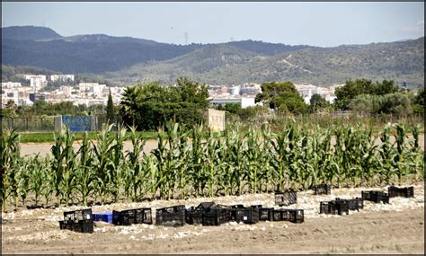 Paseos Por El Parc Agrari Del Baix Llobregat