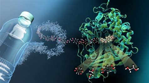 Plastic Eating Bacteria A Viable Solution To The Plastic Problem