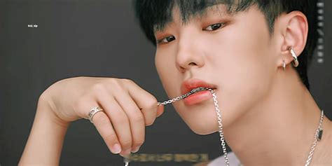 Seventeen Leader Septum Ring Nose Ring Hoshi Choreographer Tiger