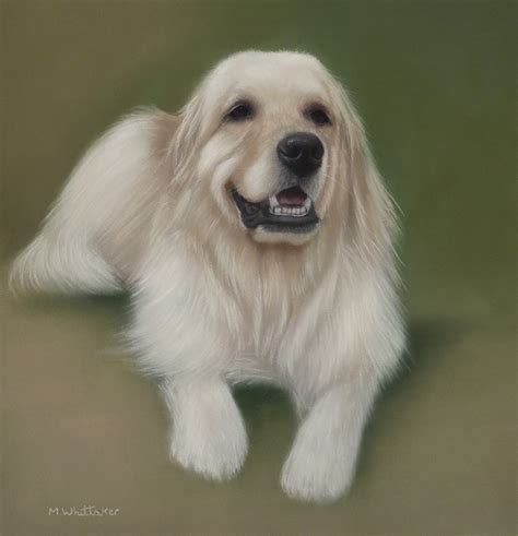 Mark Whittaker Pet Portrait And Wildlife Artist Original Pastel Painting