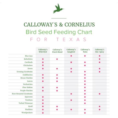 All About Bird Seed Calloways Nursery