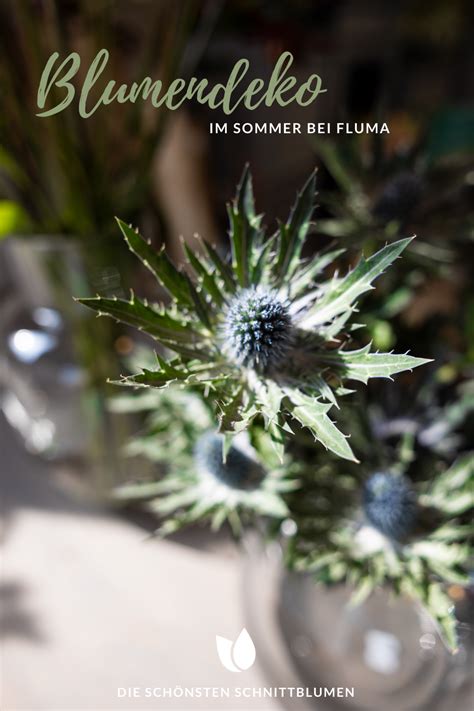 Blumendeko Im Sommer Blumendeko Schaufenster Dekorieren Sommerblumen