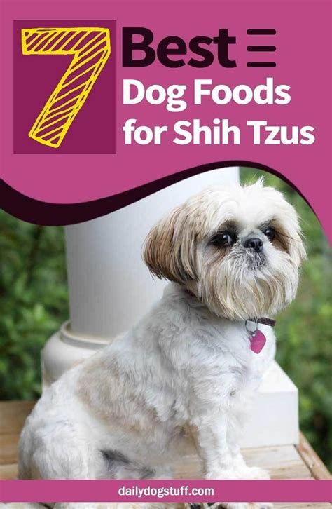 Whats The Best Dog Food For Shih Tzus 7 Top Picks Shitzu Dogs Best