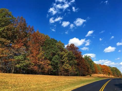 Fall Foliage on the Scenic Natchez Trace Parkway | Natchez trace ...