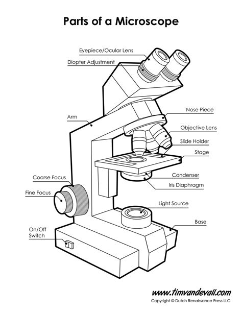 Microscope Diagram - Tim's Printables