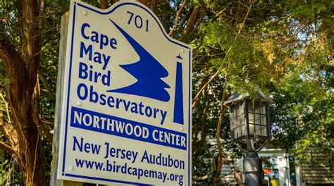 Cape May Bird Observatory in Cape May Point | Expedia.ca