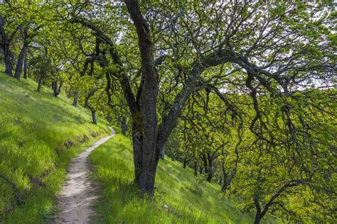 John Muir National Historic Site Mount Wanda