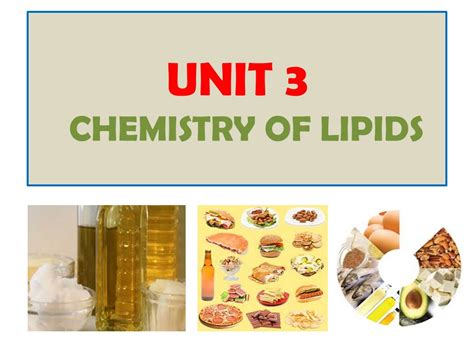 Lipid Examples Food