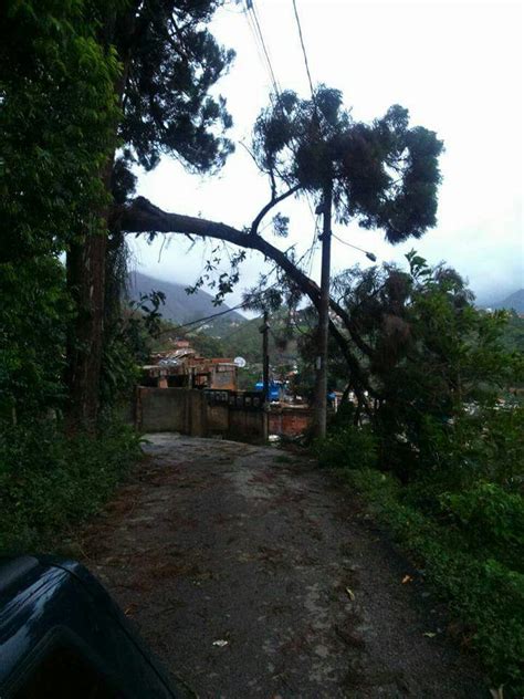 Portal Fri Bonja Not Cias Chuva E Ventania Causam Estragos Em Nova