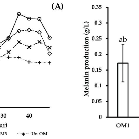 Three Dimensional Response Surface Graphs Showing The Effect Of Yeast