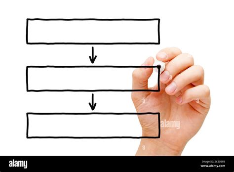 Blank Hand Diagram