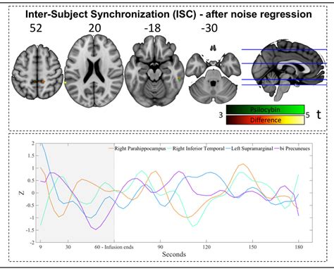 Inter Subject Synchronization After Noise Regression Isc Analysis