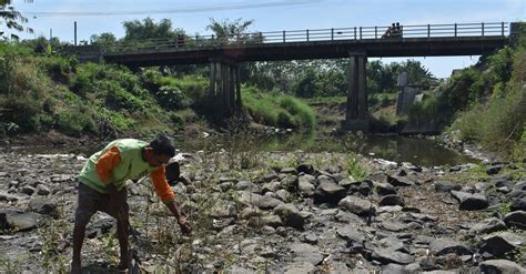 BNPB Waspada Kekeringan Di Jawa Bali Hingga Nusa Tenggara