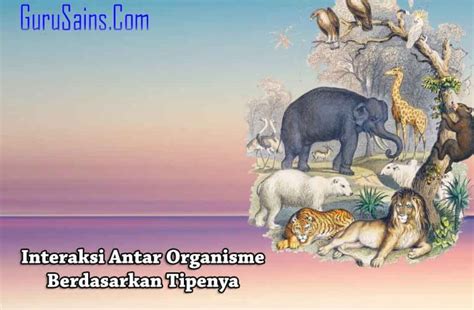 10 Contoh Interaksi Antar Organisme Berdasarkan Tipenya Guru Sains