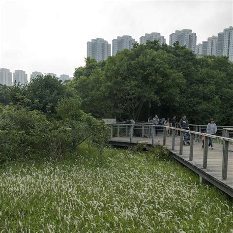 A Stroll Around Hong Kong Wetland Park, Hong Kong, China