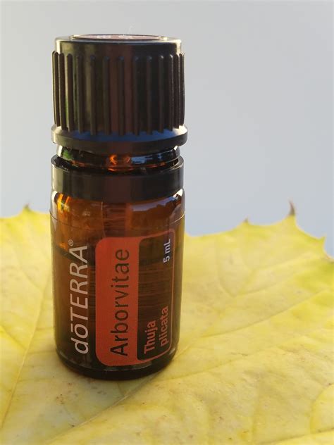 DoTERRA Arborvitae Essential Oil Both Roots And Wings