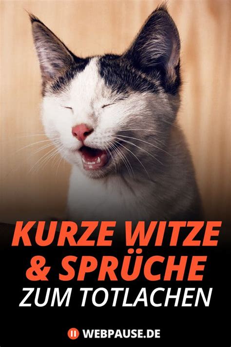 Lustige Sprueche Kurz Und Knackig Spruchewxo