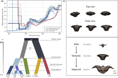 Genome Sequencing And Transcriptome Analyses Provide Insights Into The