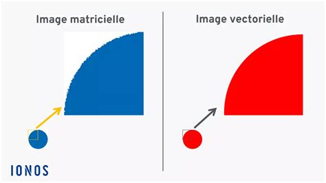 Images Vectorielles Redimensionner Sans Perte De Qualit Ionos