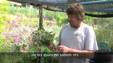 El Medi Ambient Els Poders De Les Plantes Video Dailymotion