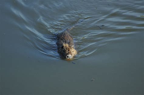 Au Lac Du Vernois Michel Arnoux Flickr