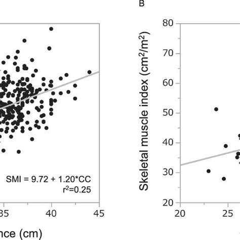 The Sex‐specific Correlation Between The Skeletal Muscle Index Smi