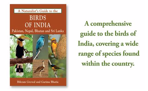 Buy A Naturalists Guide To The Birds Of India Book Online At Low