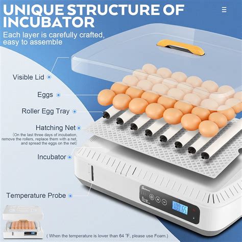 Sailnovo Incubadoras Para Incubar Huevos Incubadora De Huevos Con