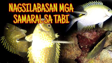 EP 05 NAGSILABASAN MGA MALALAPAD NA SAMARAL SA TABI Night