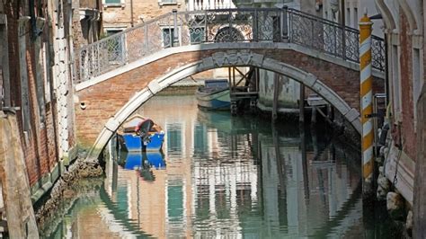 Venezia L Acqua Dei Canali Tornata Limpida Si Vedono I Pesci