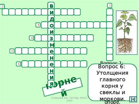 КРОССВОРДЫ Строение растения. Биология 6 класс Микроскоп Строение ...