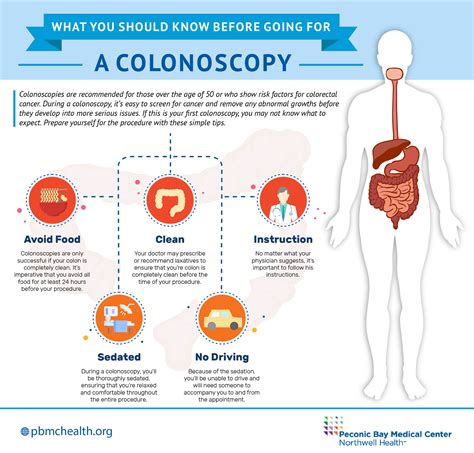 Colonoscopy Diagram Anatomy