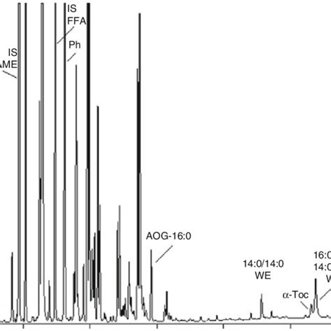 Typical Gc Ms Total Ion Chromatogram Obtained From Transesterified And Download Scientific