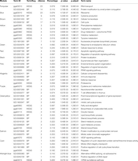 Gene Ontology Go And Kegg Pathway Functional Annotation Of Genes In