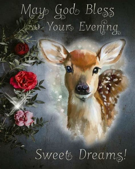 Cute Deer Good Evening Quote Pictures Photos And Images For Facebook