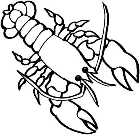 Lobster outline free clipart images - WikiClipArt