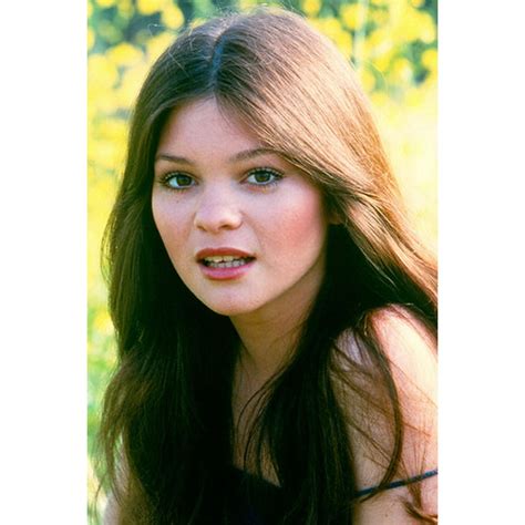 Valerie Bertinelli Stunning 24x36 Poster