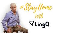 Steve Kaufmann - lingosteve - YouTube