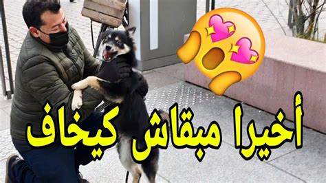 واش عقلتي على هاد الكلب 🤔 شوف كيفاش ولى 😍 Youtube