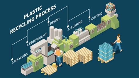 Proceso de reciclaje de plástico para niños importancia y pasos