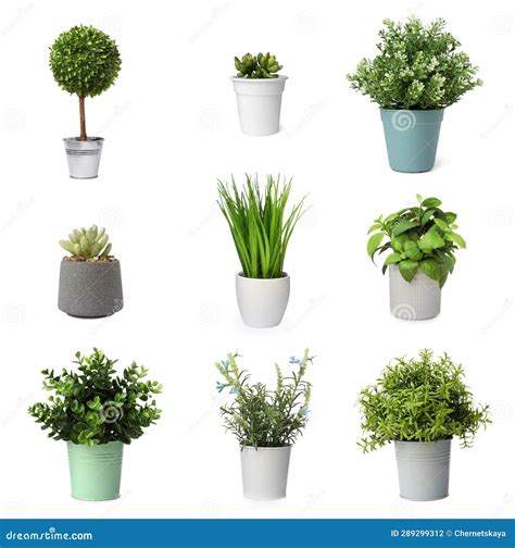 Set Of Artificial Plants In Flower Pots Isolated On White Stock Photo