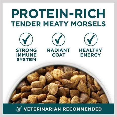 Purina One Large Breed Dry Puppy Food Pet Supplies Online Sale