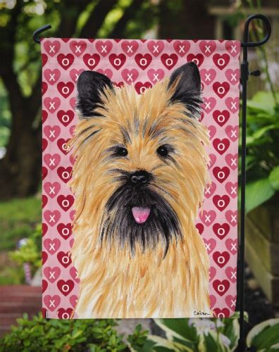 Cairn Terrier Hearts Love And Valentine S Day Portrait Garden Flag