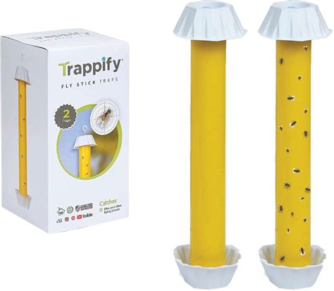 Indoor Fly Catcher Online