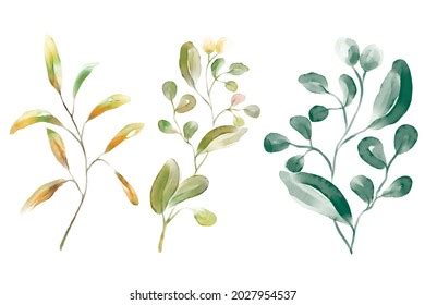 Watercolor Florals Greenery Branch Twig Illustration 库存插图 2027954537