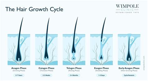 Minoxidil Foam Uses Effectiveness Side Effects Wimpole Clinic