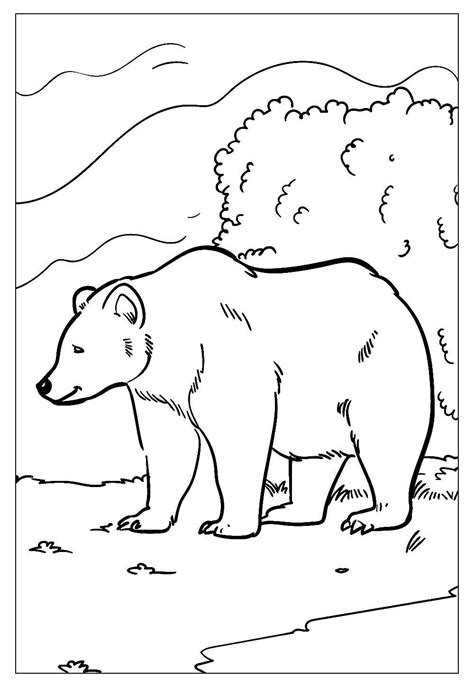 Desenhos Para Desenhar De Urso - 7