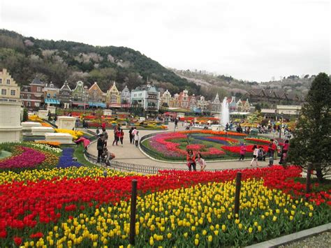 your best choice: 7D6N KOREA Spring Season (Seoul/Jeju/Nami Island)